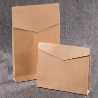 SKEPB005  Customized Paper Bag Shopping Bags Clothing Courier Bags Environmentally Friendly Kraft Paper Envelopes Environmental Bag Suppliers 45 degree